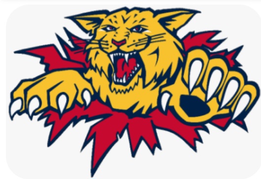 Moncton Wildcats Community of Hope Game